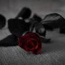 Black Rose Candle Fragrance Oil