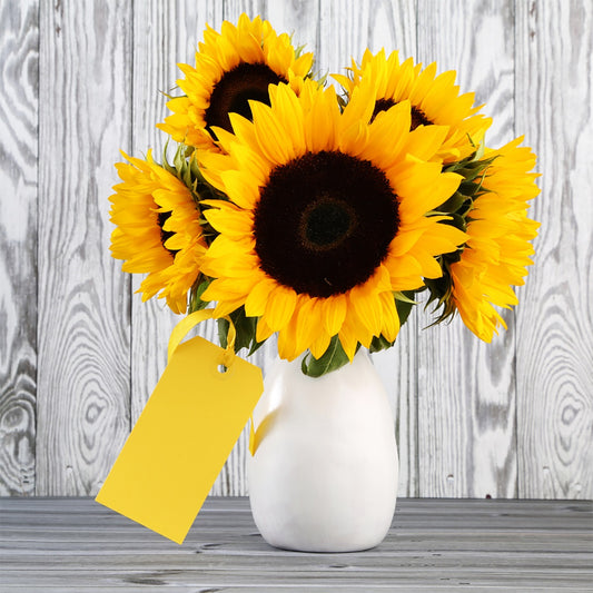 SUNFLOWER PETALS candle fragrance oil