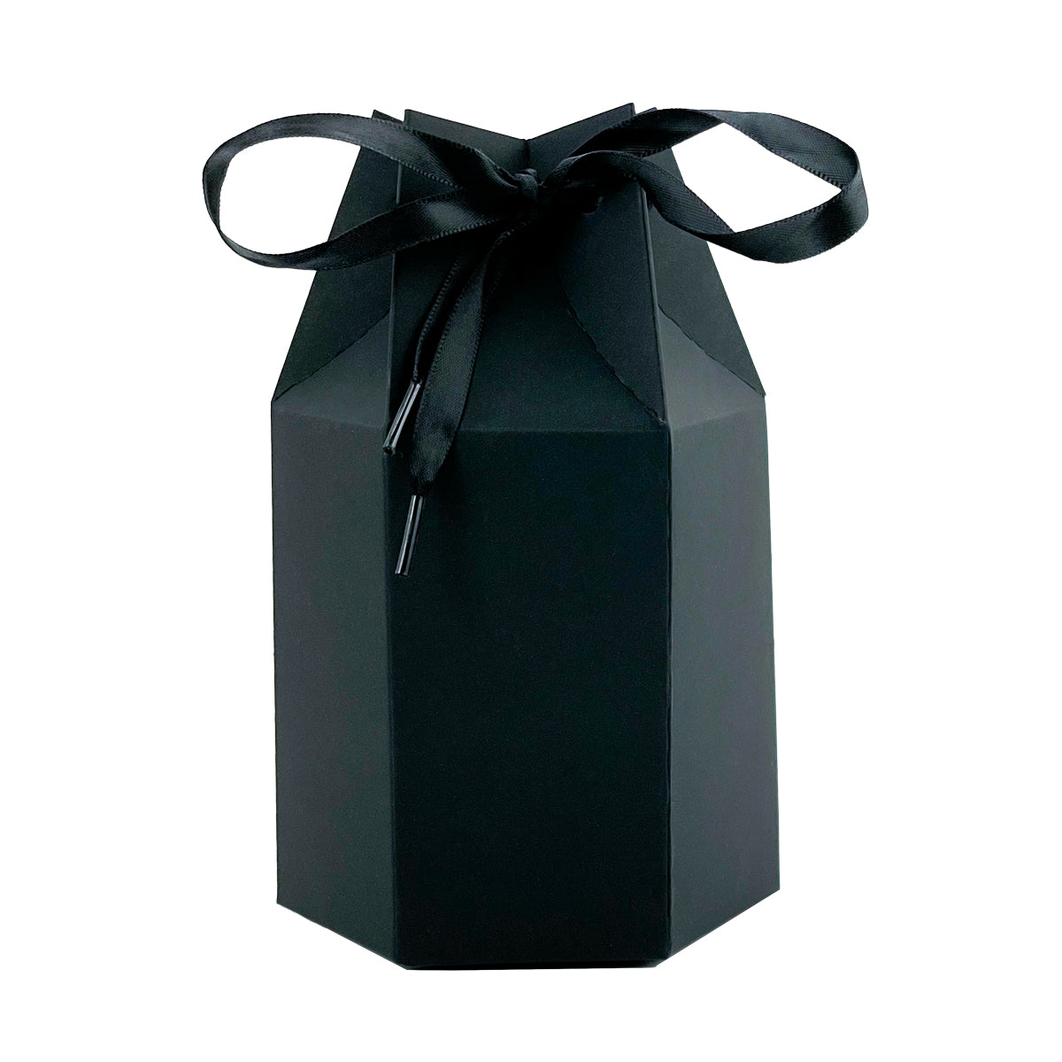 Alexa Large Gift Bag