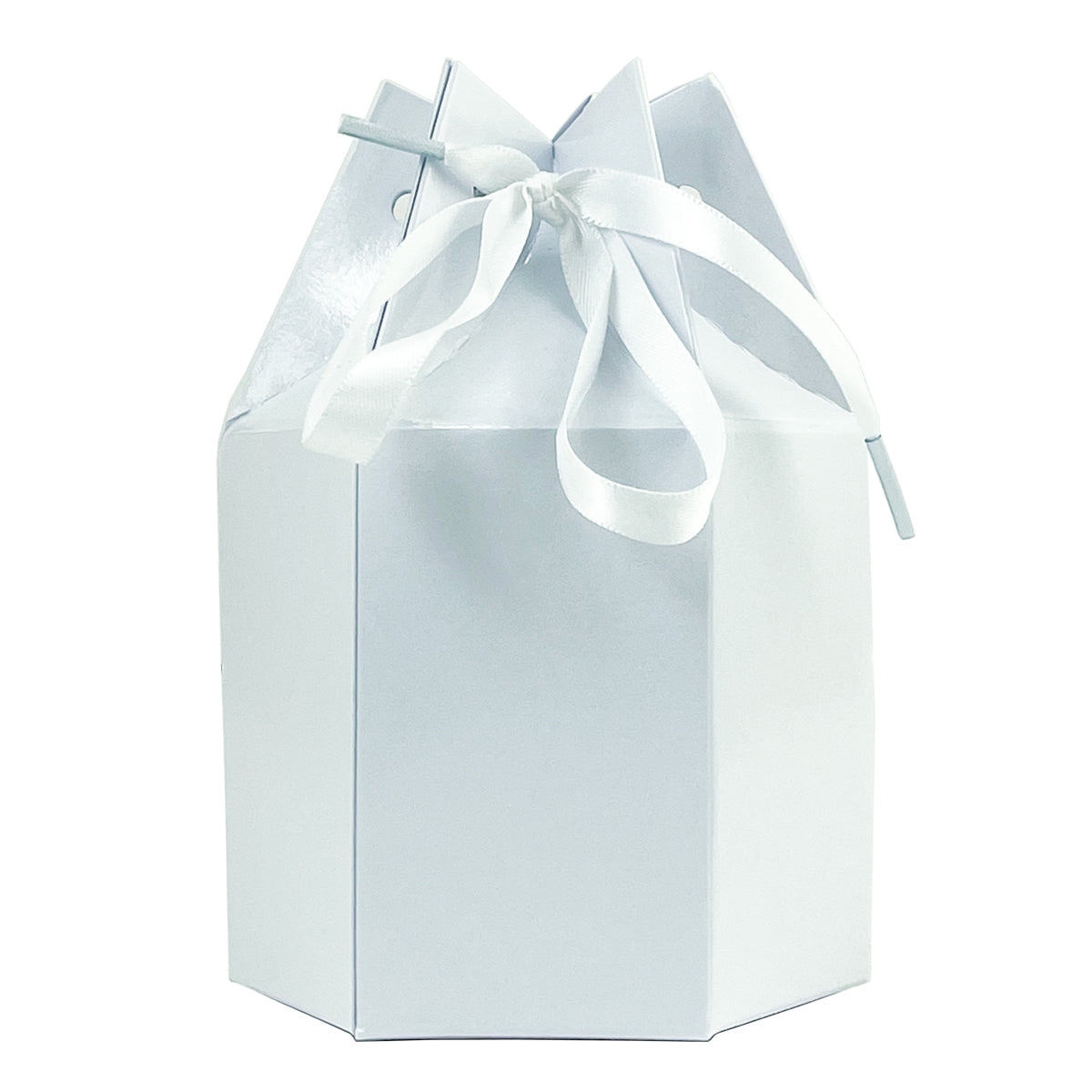 Alexa Large Gift Bag