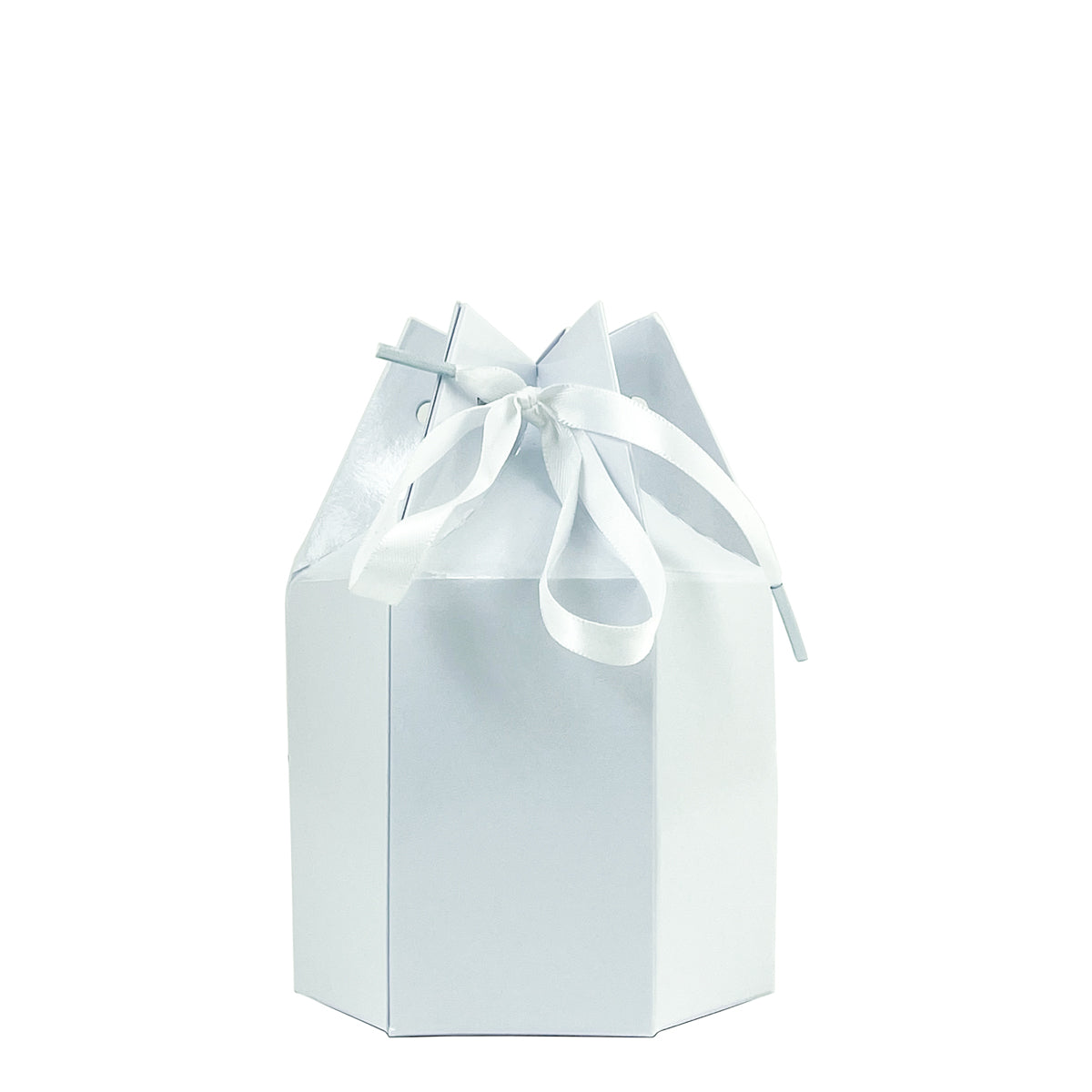 Alexa Small Gift Bag