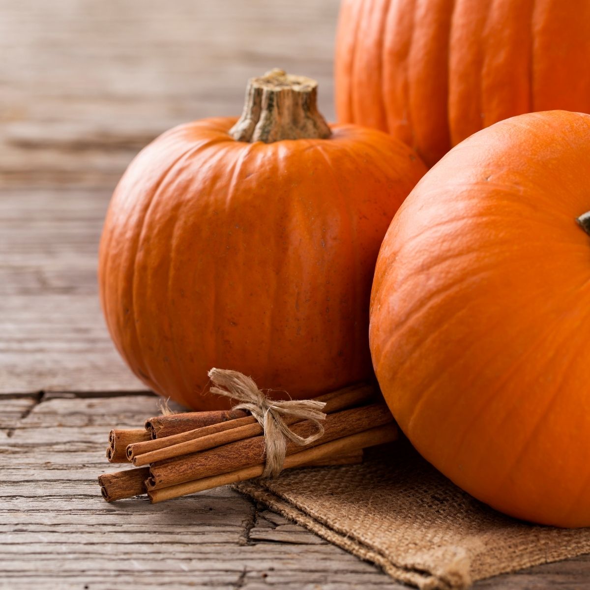 Pumpkin spice candle fragrance oil